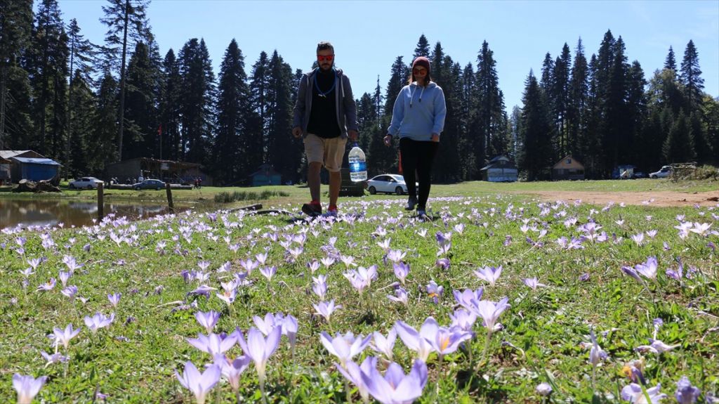 Mudurnu'da yayla turizmine yoğun ilgi