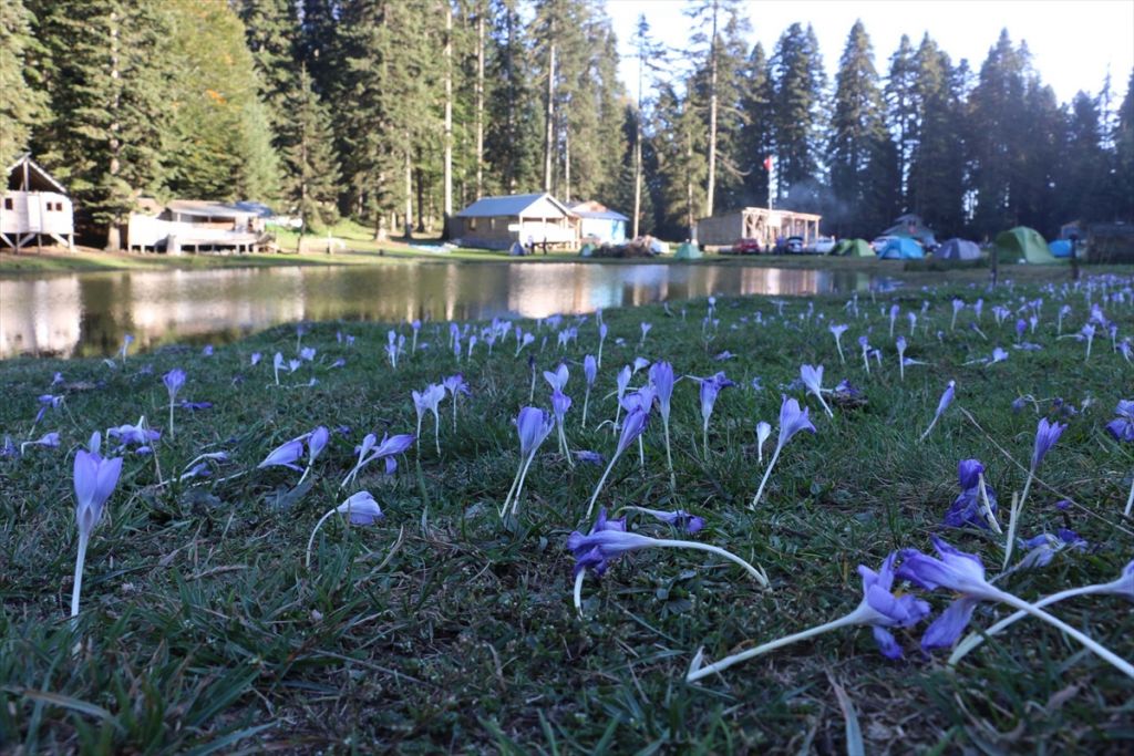 Mudurnu'da yayla turizmine yoğun ilgi