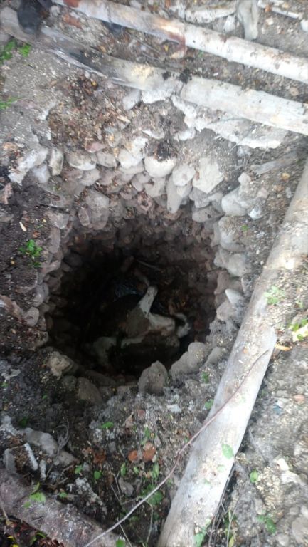 Su kuyusuna düşen ineği itfaiye kurtardı