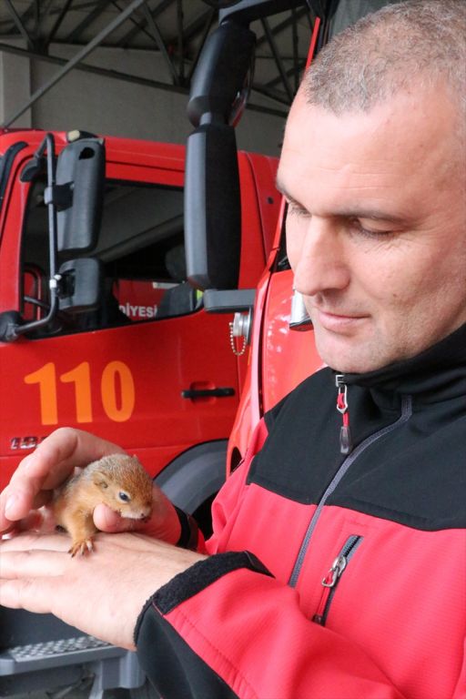 Yavru sincaba çocuğu gibi bakıyor