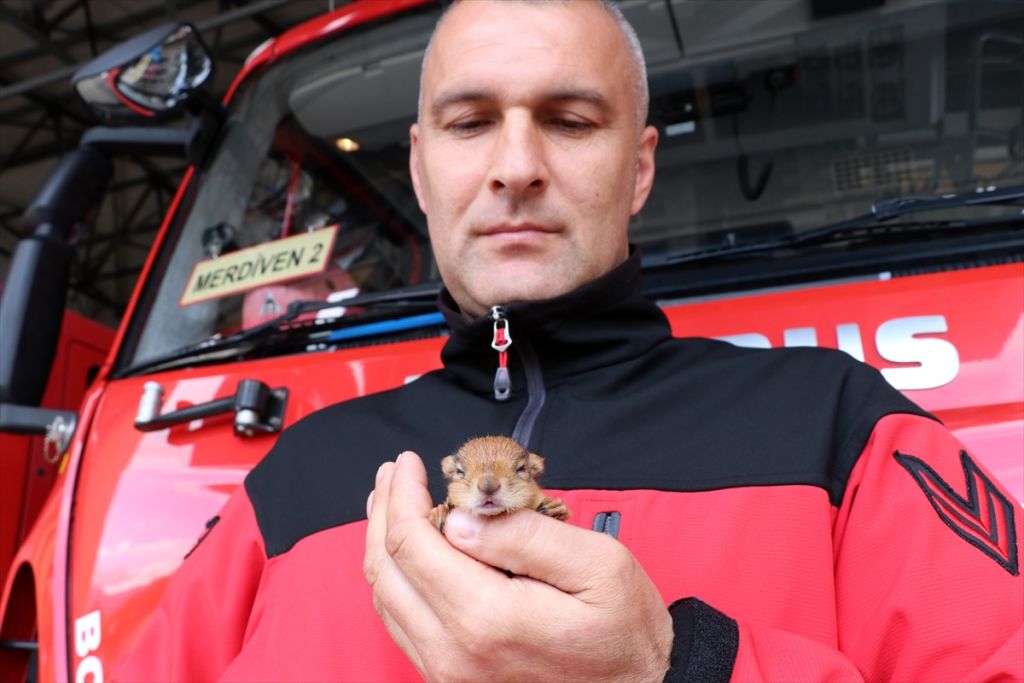 Yavru sincaba çocuğu gibi bakıyor