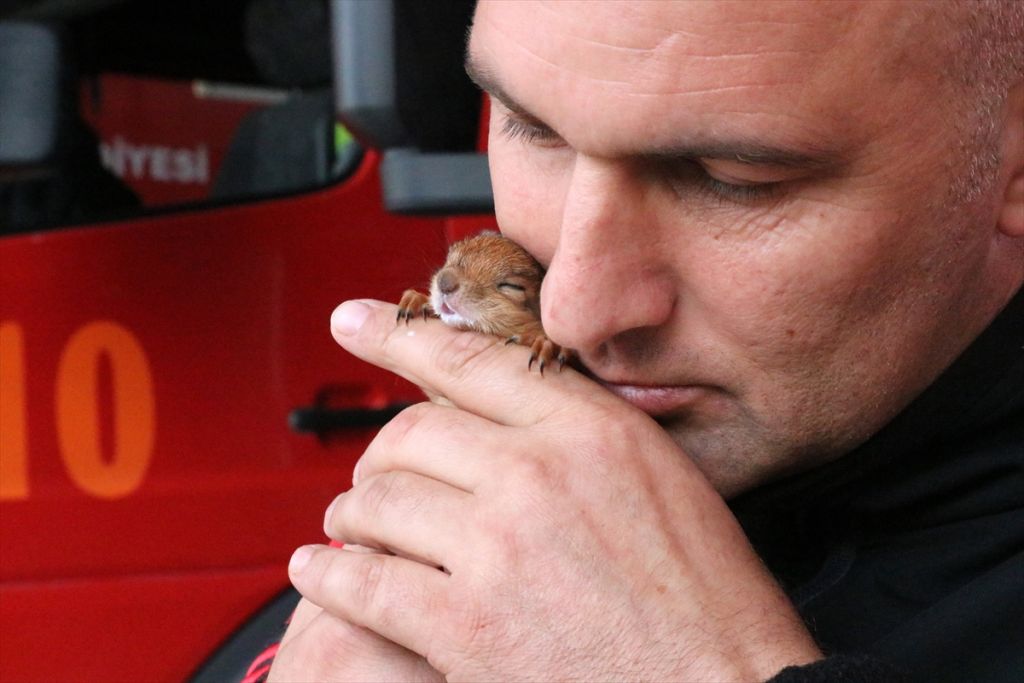 Yavru sincaba çocuğu gibi bakıyor