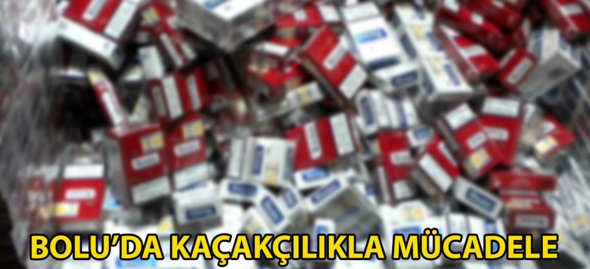 Bolu'da kaçakçılıkla mücadele