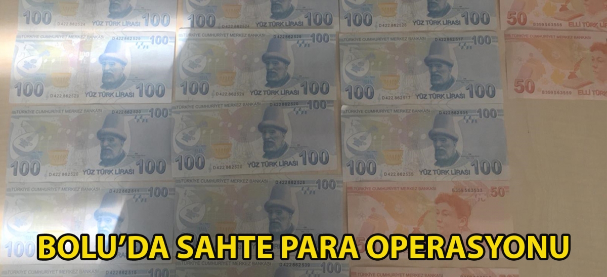 Bolu'da sahte para operasyonu