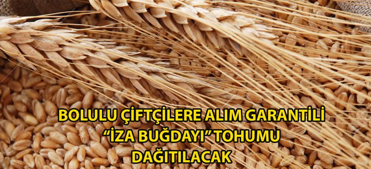 Bolulu çiftçilere alım garantili 