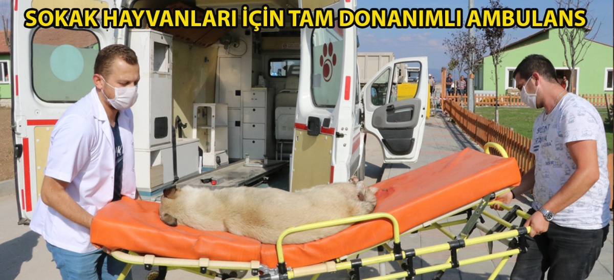 Sokak hayvanları için tam donanımlı ambulans
