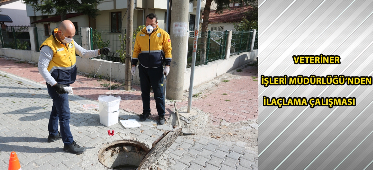 Veteriner İşleri Müdürlüğü'nden ilaçlama çalışması