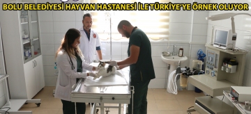 Bolu Belediyesi Hayvan Hastanesi İle Türkiye'ye Örnek Oluyor