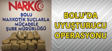 Bolu'da uyuşturucu operasyonu