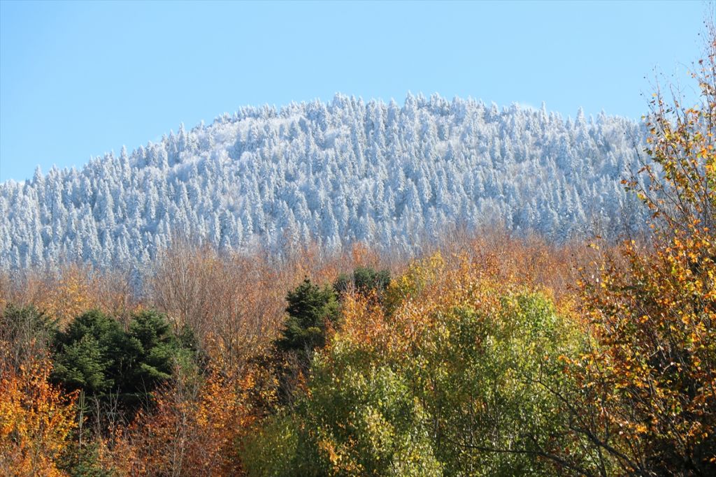 Abant ve Gölcük'te kar güzelliği