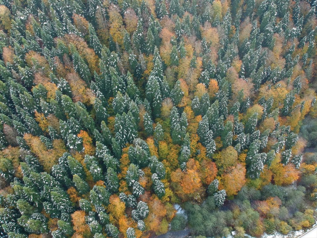 Abant ve Gölcük'te kar güzelliği