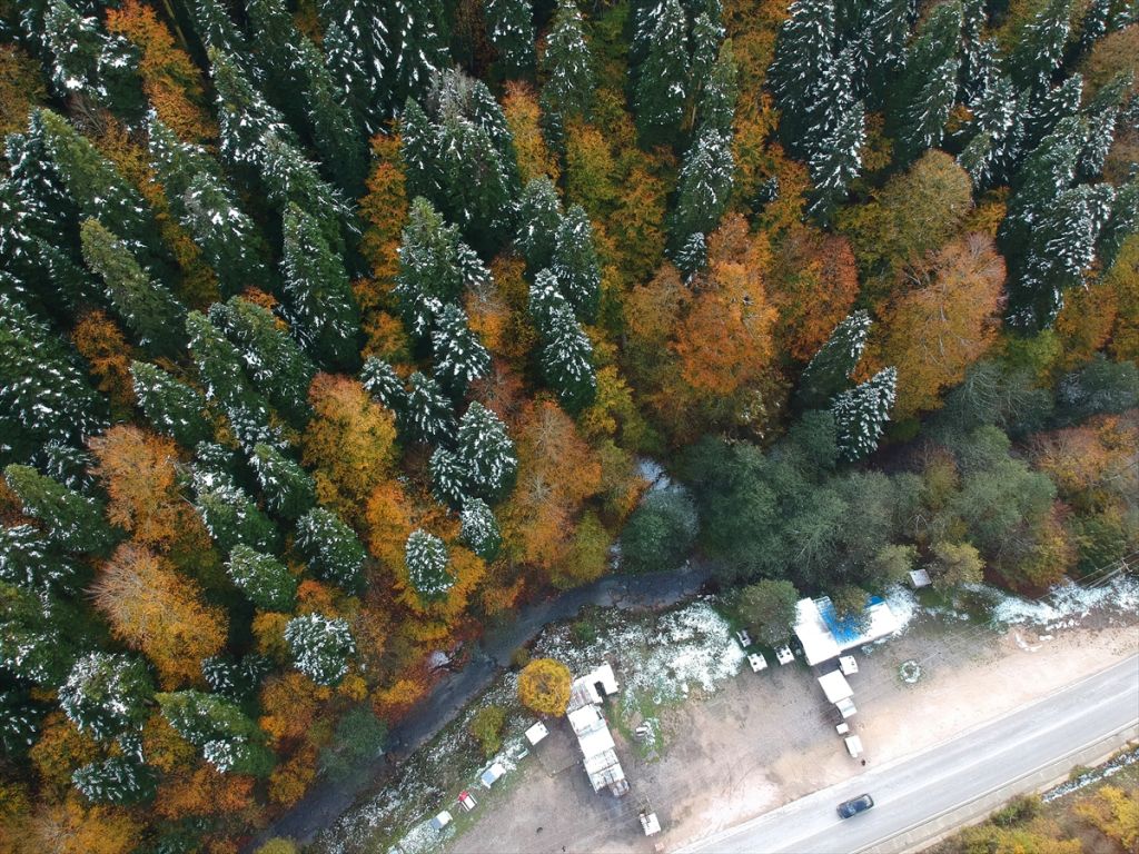 Abant ve Gölcük'te kar güzelliği