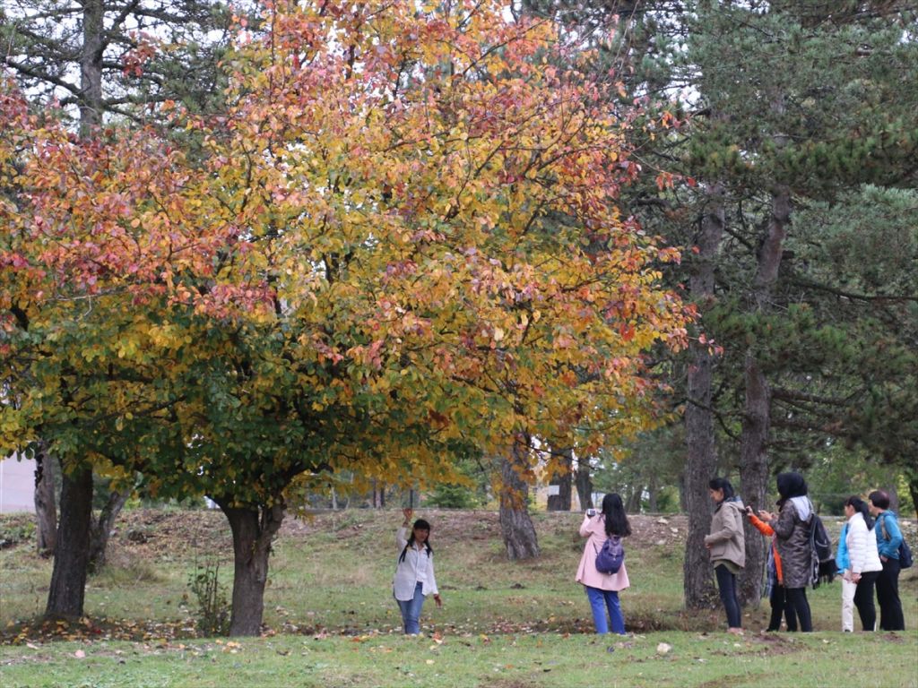 Abant'ta sonbahar yoğunluğu