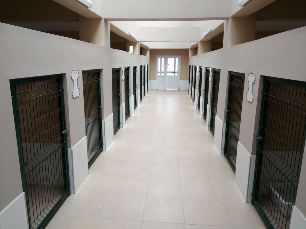 Batı Karadeniz'in en büyük hayvan hastanesi Bolu Hayvan Hastanesi, Hayvanları Koruma Günü'nde açılıyor