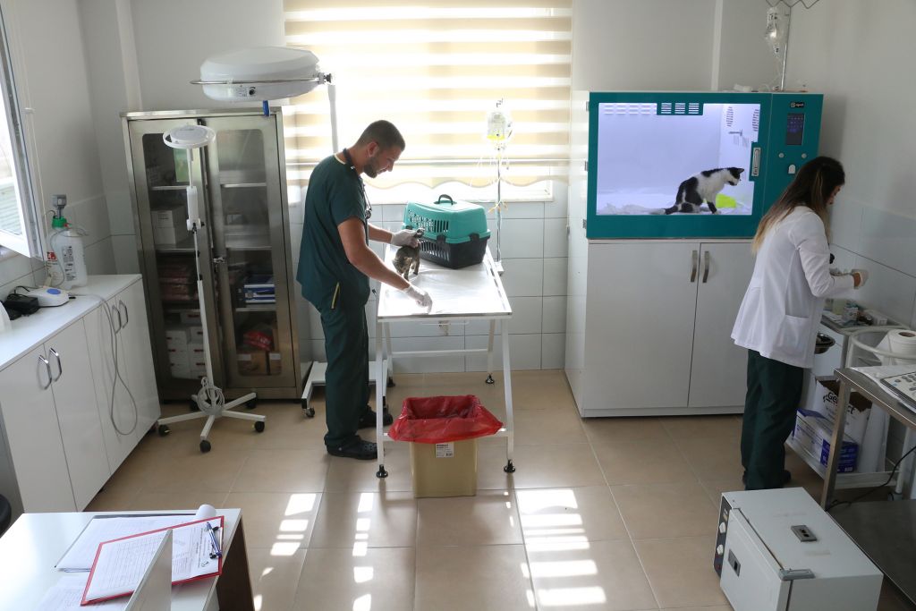 Bolu Belediyesi Hayvan Hastanesi İle Türkiye'ye Örnek Oluyor