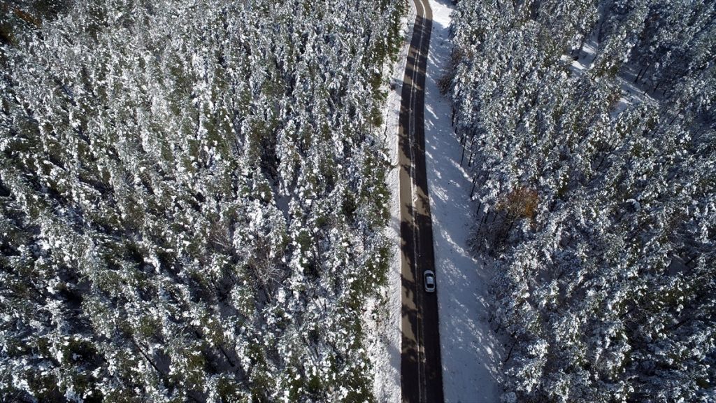 Bolu Dağı'nda kar manzarası