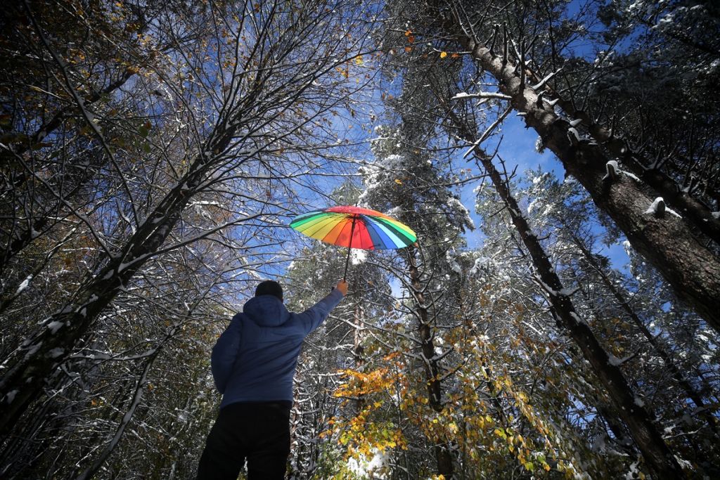 Bolu Dağı'nda kar manzarası