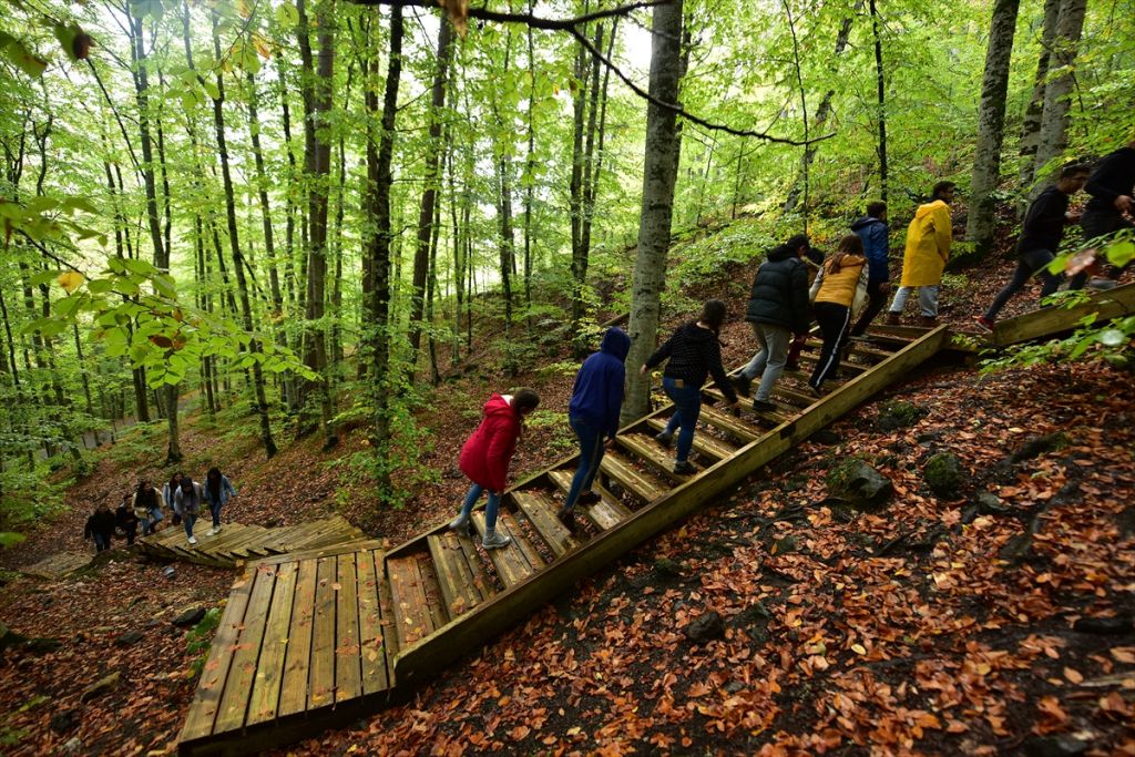 Bolu'da sonbahar tonları