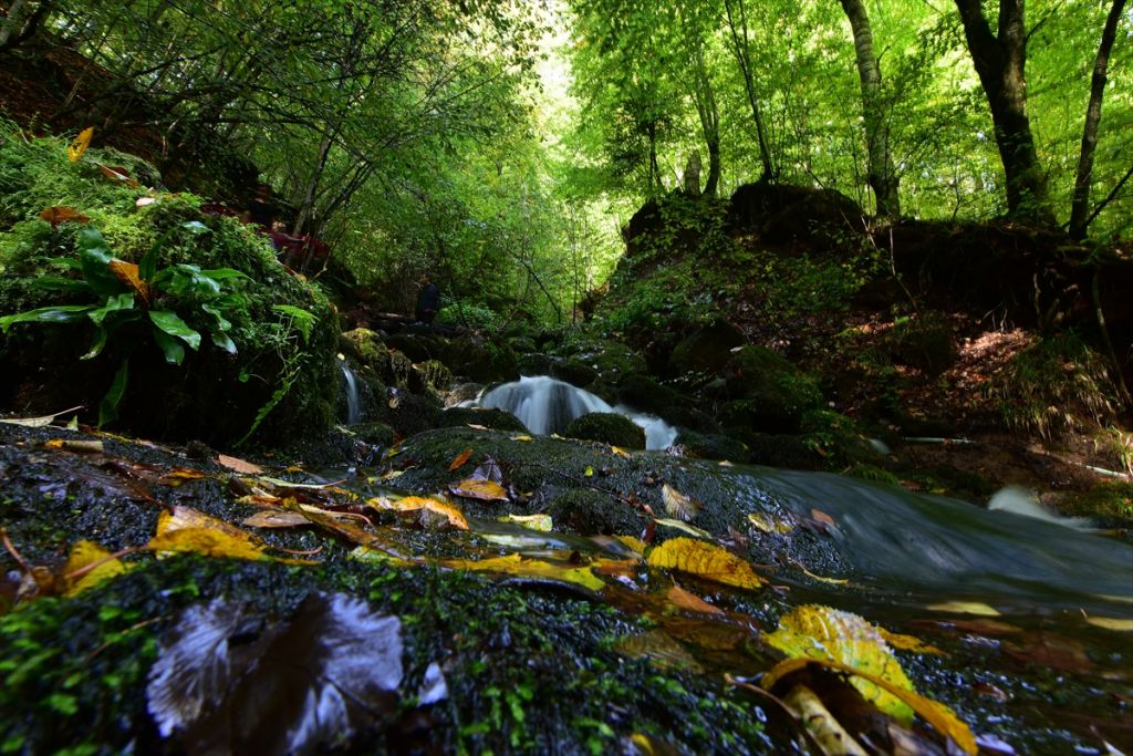Bolu'da sonbahar tonları