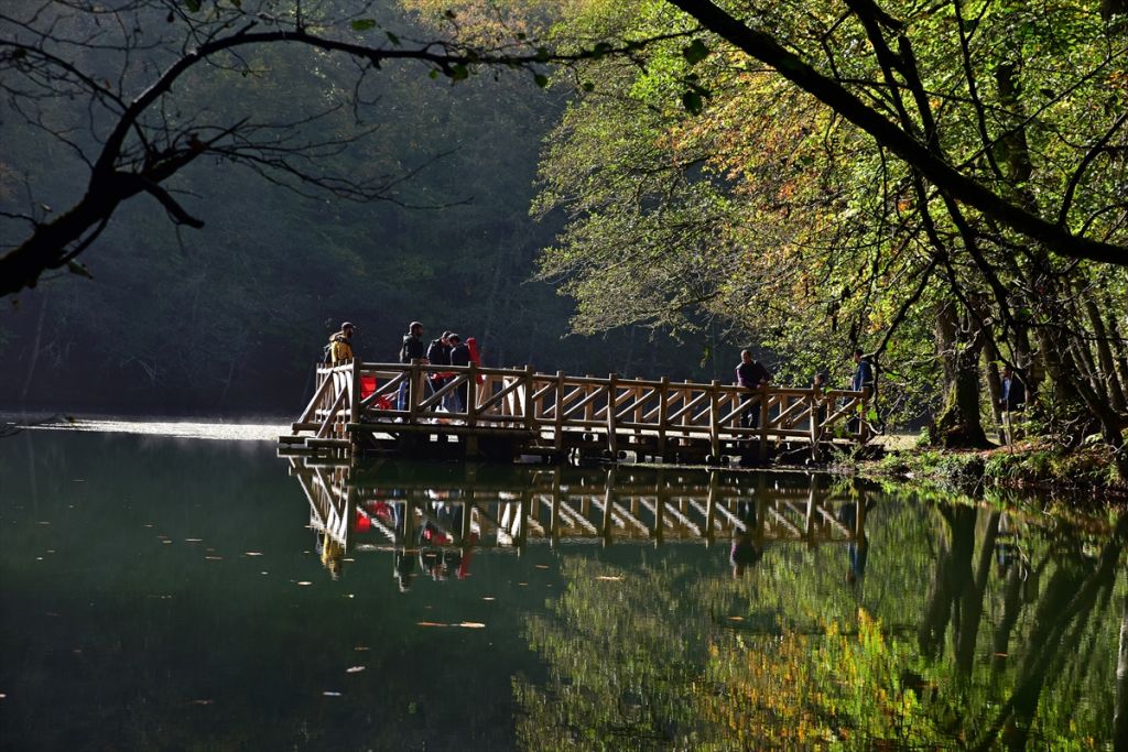 Bolu'da sonbahar tonları