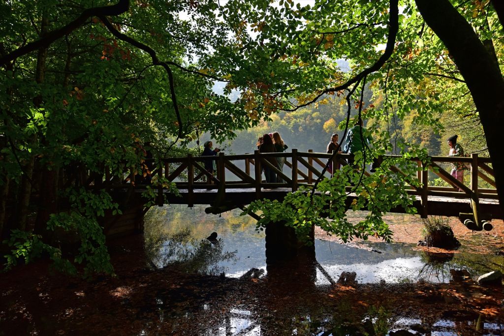 Bolu'da sonbahar tonları