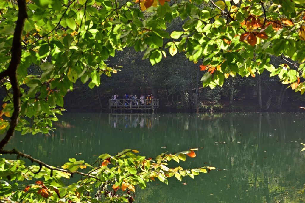 Bolu'da sonbahar tonları