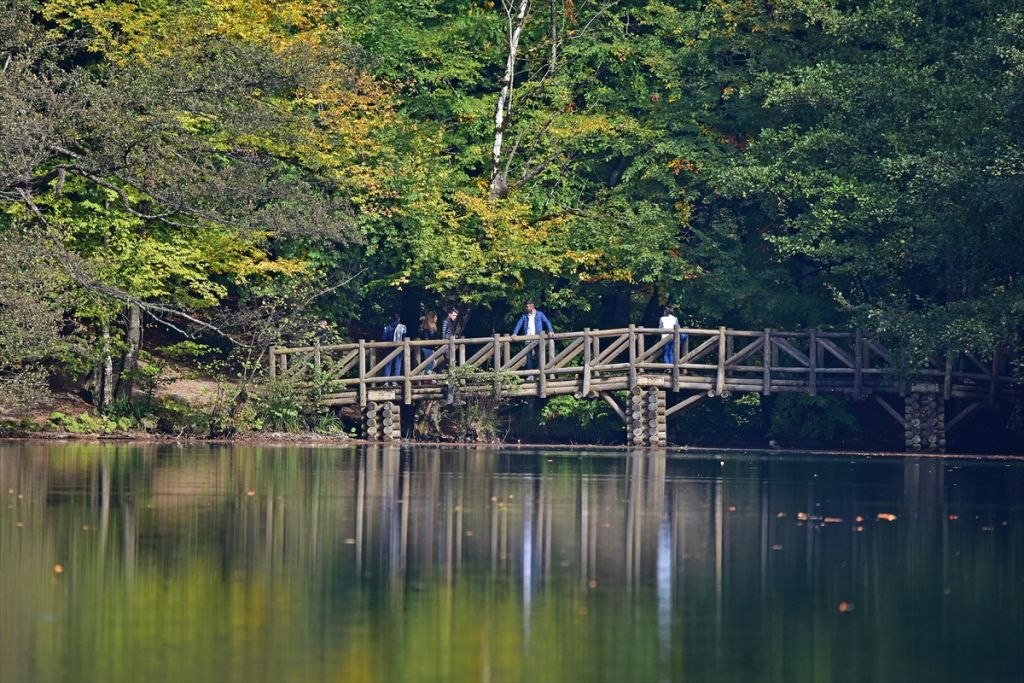 Bolu'da sonbahar tonları