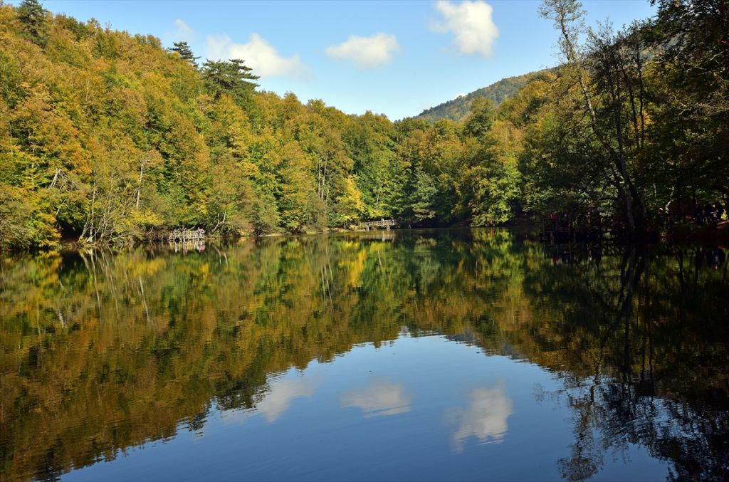 Bolu'da sonbahar tonları