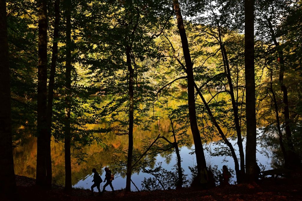 Bolu'da sonbahar tonları
