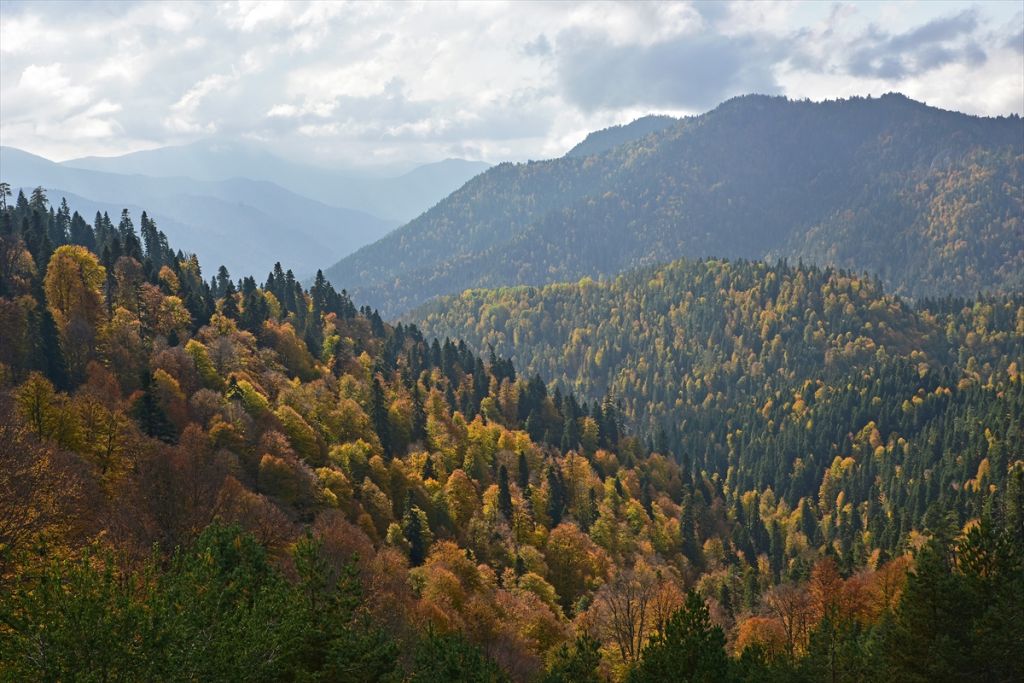 Bolu'da sonbahar tonları
