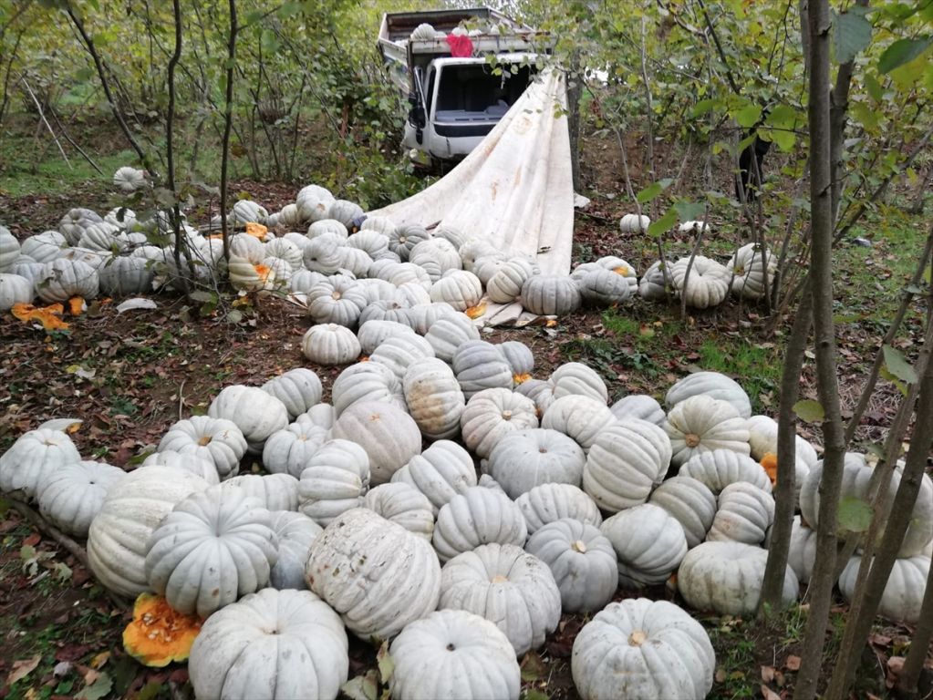 Bolu'da trafik kazası: 2 yaralı