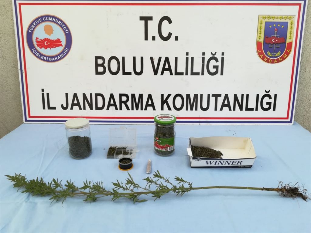 Bolu'da, uyuşturucu ve kaçakçılık operasyonu