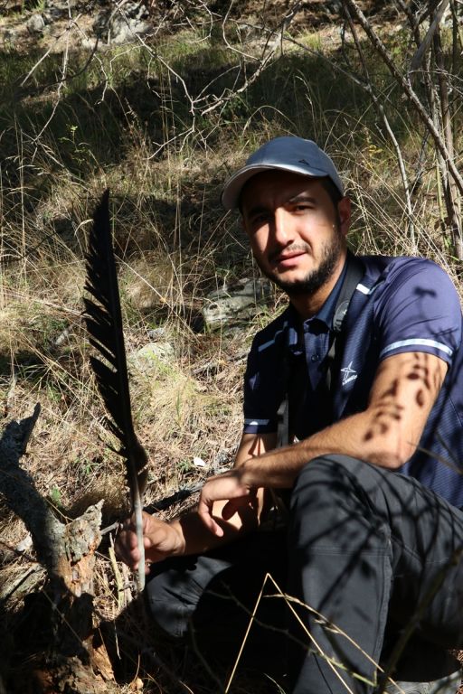 Bolu'da yeni kara akbaba kolonisi tespit edildi