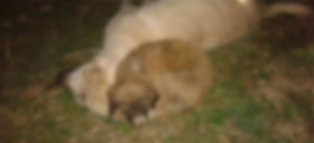 GEREDE'DE NELER OLUYOR