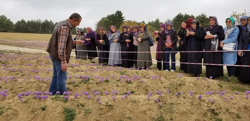 Sebenli kadınlar, Safranbolu'yu gezdi