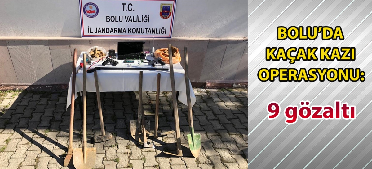 Bolu'da kaçak kazı operasyonu: 9 gözaltı
