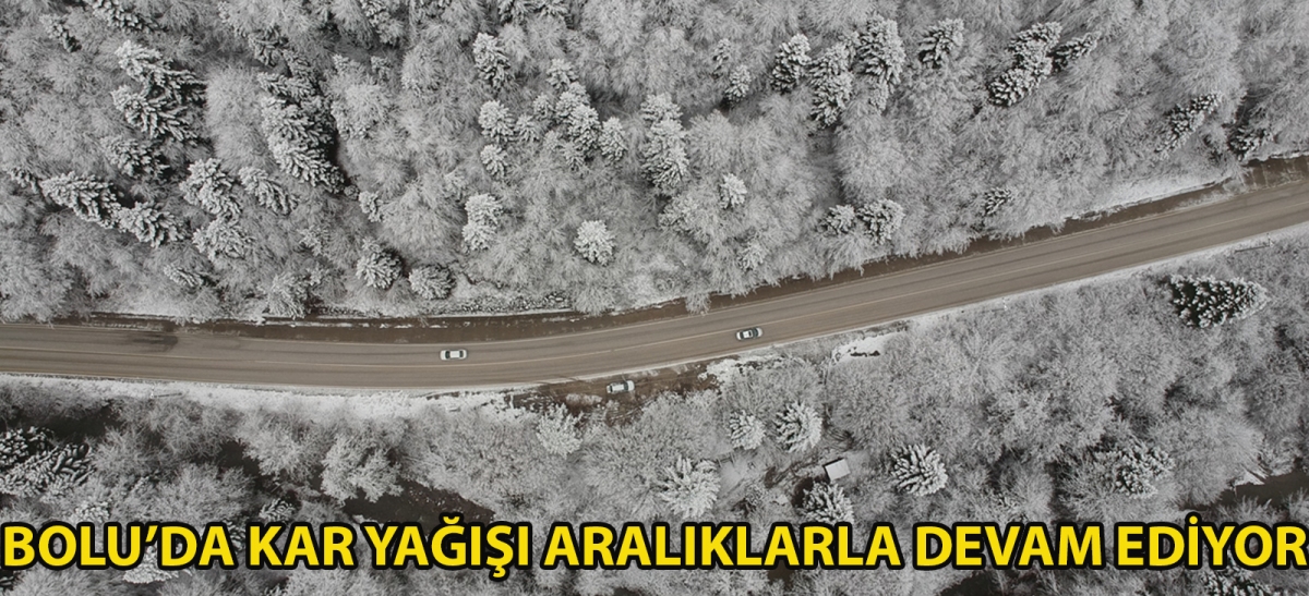 Bolu'da kar yağışı aralıklarla devam ediyor