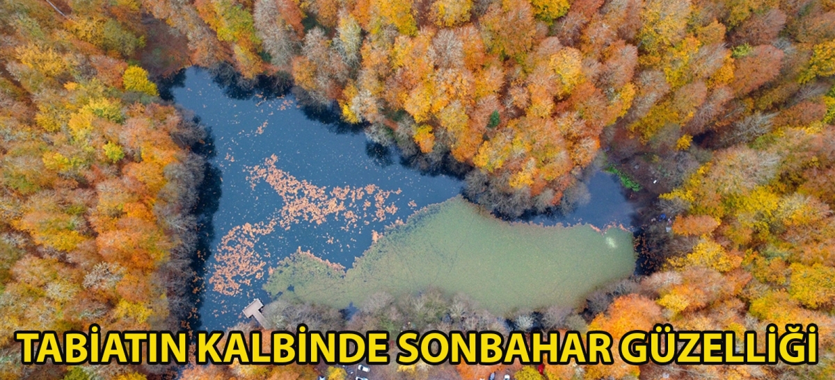 Tabiatın kalbinde sonbahar güzelliği