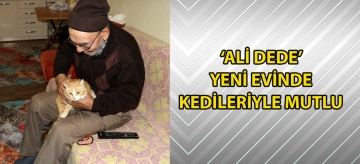 "Ali dede" yeni evinde kedileriyle mutlu