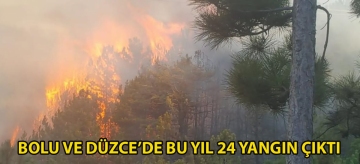 Bolu ve Düzce'de bu yıl 24 yangın çıktı
