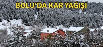 Bolu'da kar yağışı