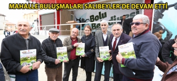 Mahalle buluşmaları Salıbeyler'de devam etti