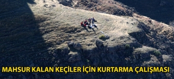Mahsur kalan keçiler için kurtarma çalışması