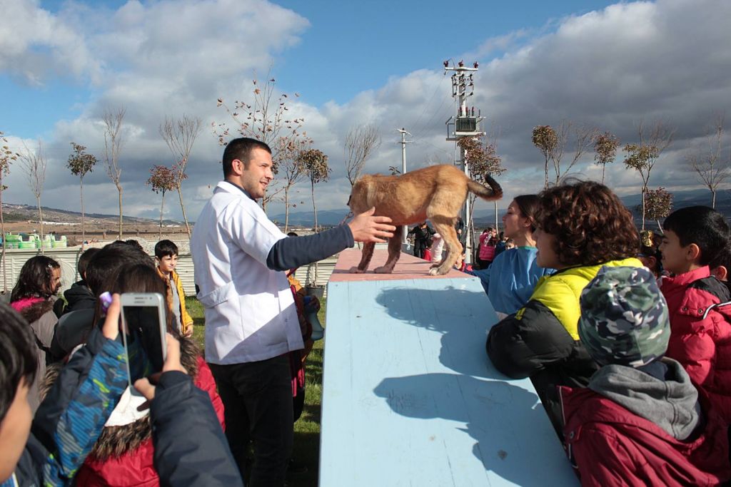 Bolu Belediyesi "Hayvan Sevgisi Projesi"  ile sevgi ve sorumluluk aşılıyor