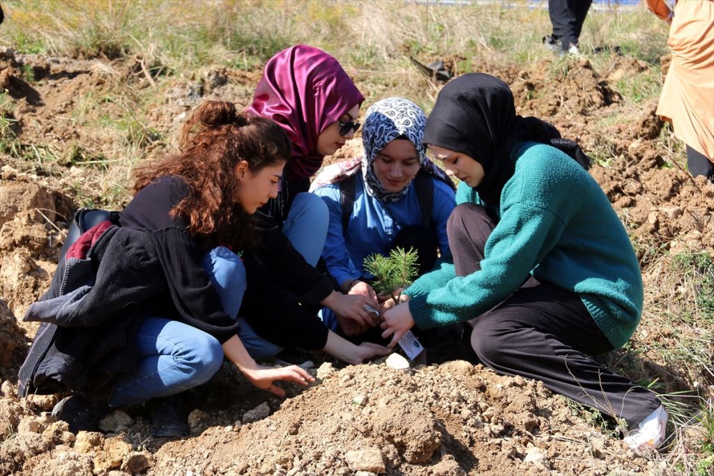 KYK'da kalan öğrenciler fidan dikti