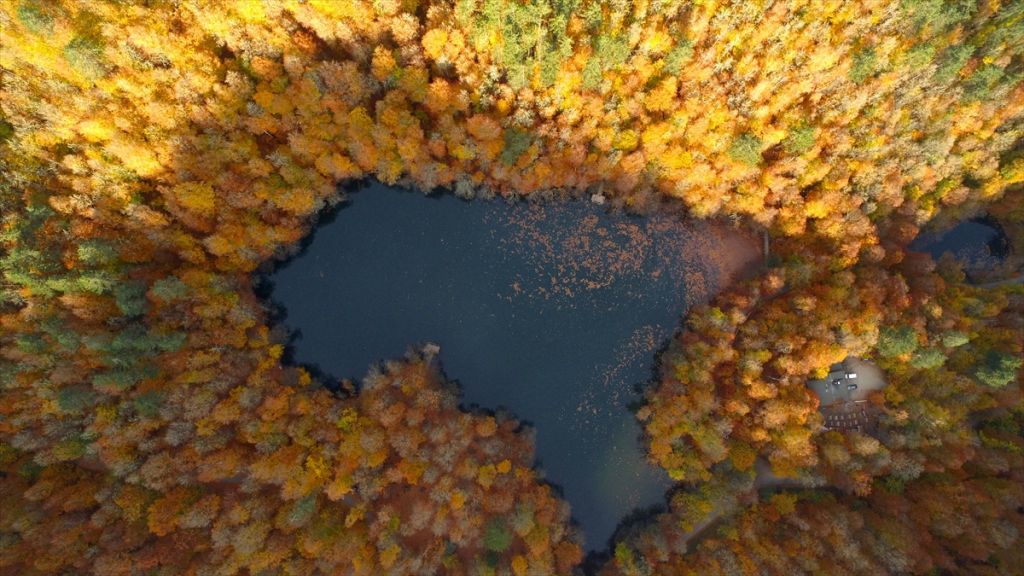 Tabiatın kalbinde sonbahar güzelliği