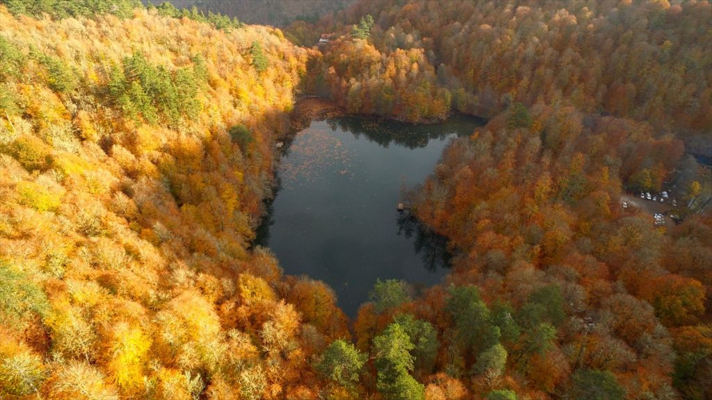 Tabiatın kalbinde sonbahar güzelliği