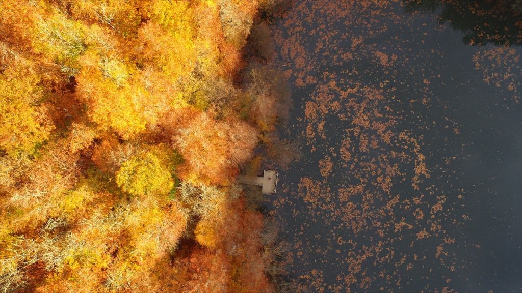 Tabiatın kalbinde sonbahar güzelliği