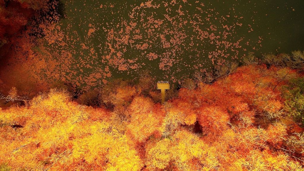 Tabiatın kalbinde sonbahar güzelliği