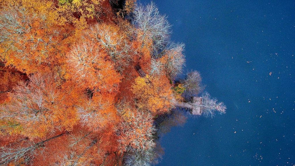 Tabiatın kalbinde sonbahar güzelliği